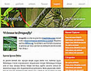 website template