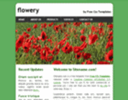 website template